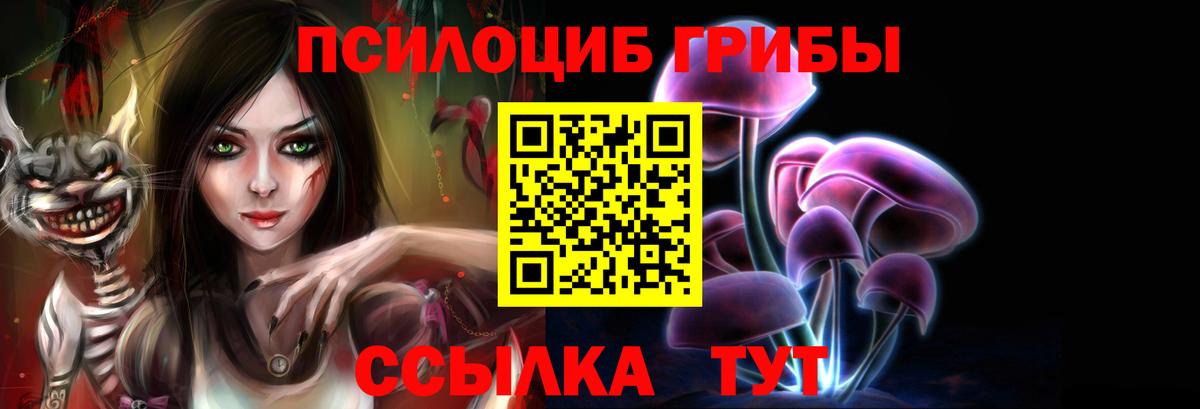 Славгород  Псилоцибиновые грибы мицелий  Вход с VPN  Псилоцибиновые грибы мухоморы 