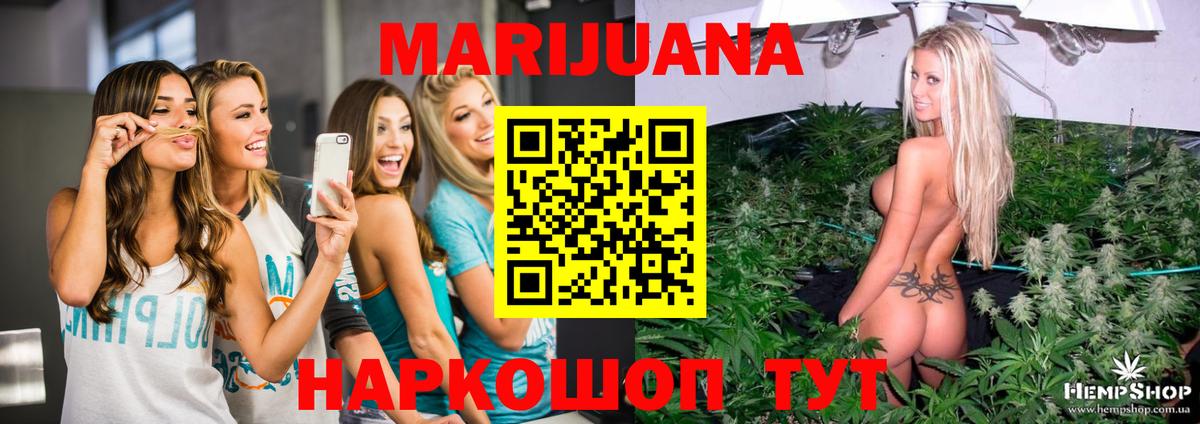 Бошки Шишки семена Славгород